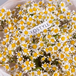 buket polevyh romashek 10